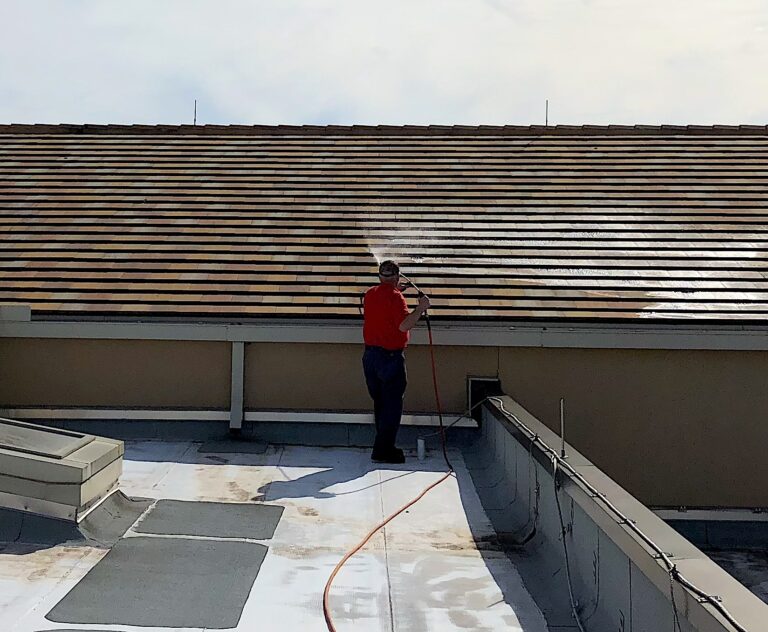 Dirty Roof Cleaning Citra-Shield