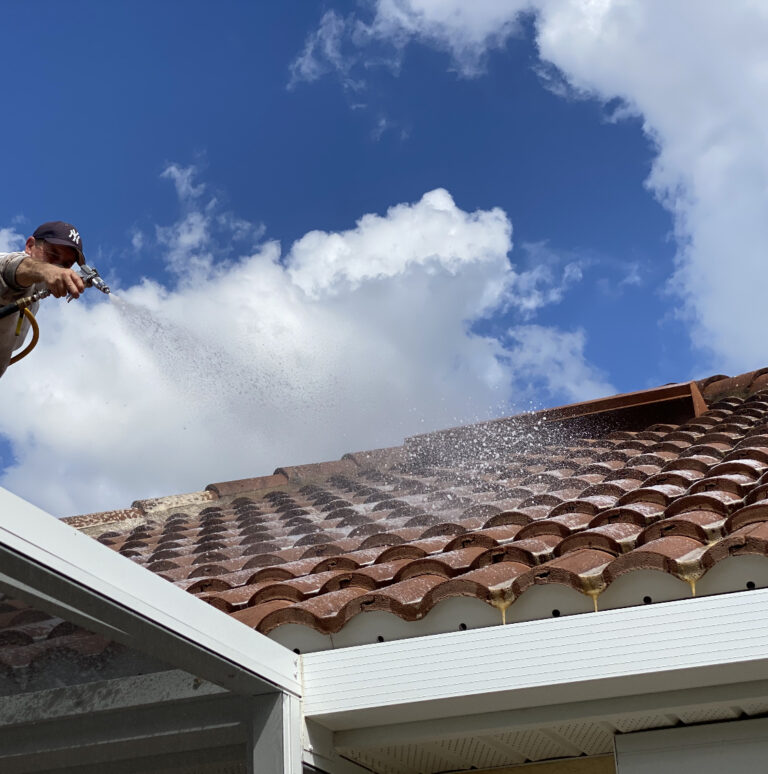 Eco-Friendly Roof Cleaning Florida Naples